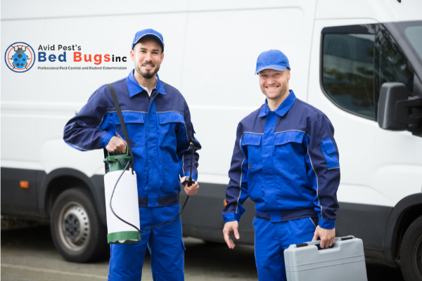 Bed Bug Exterminator Hamilton